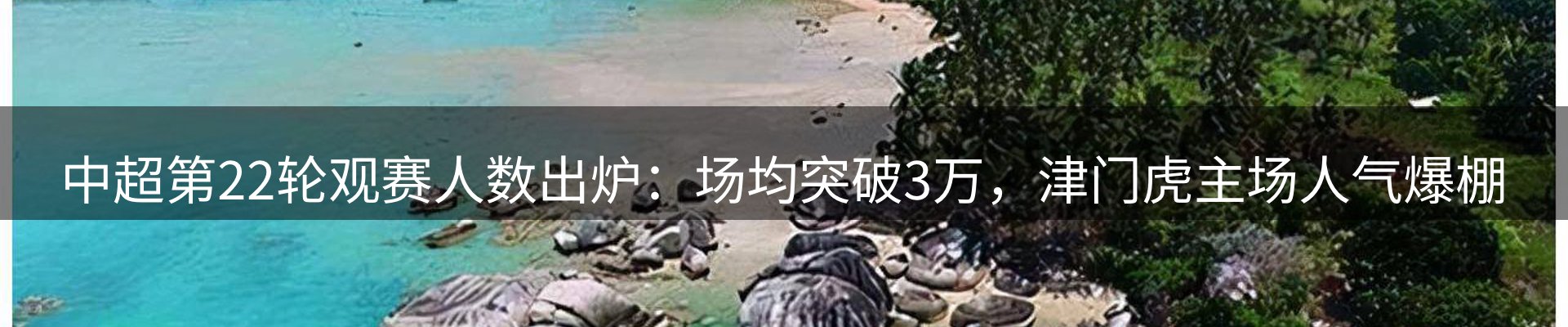 平台简报