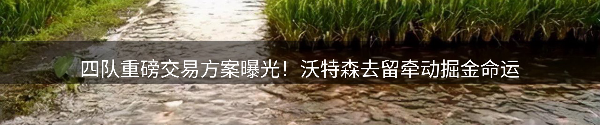 平台简报