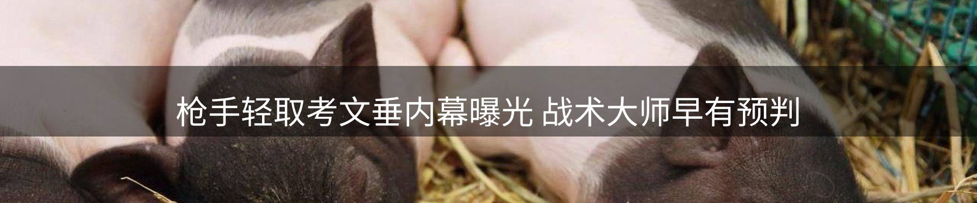 平台简报